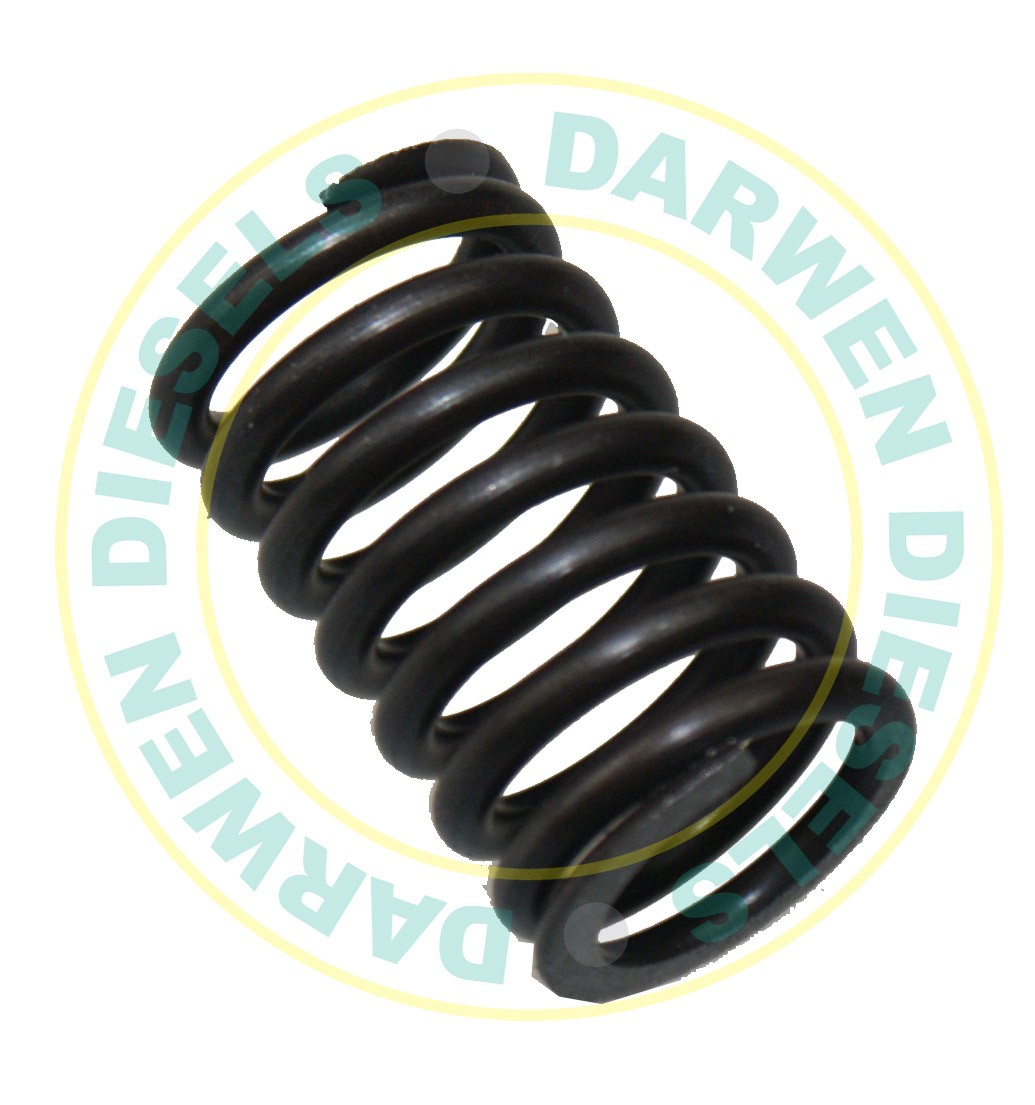 25883 Spaco Simms Element Spring