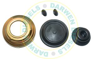 31D137 Diaphragm Kit Rotodiesel Filter Head