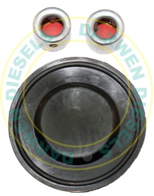 31D138 Purflux Filter Repair Kit