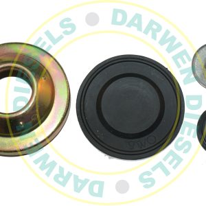 31D138L Purflux Filter Repair Kit & Button