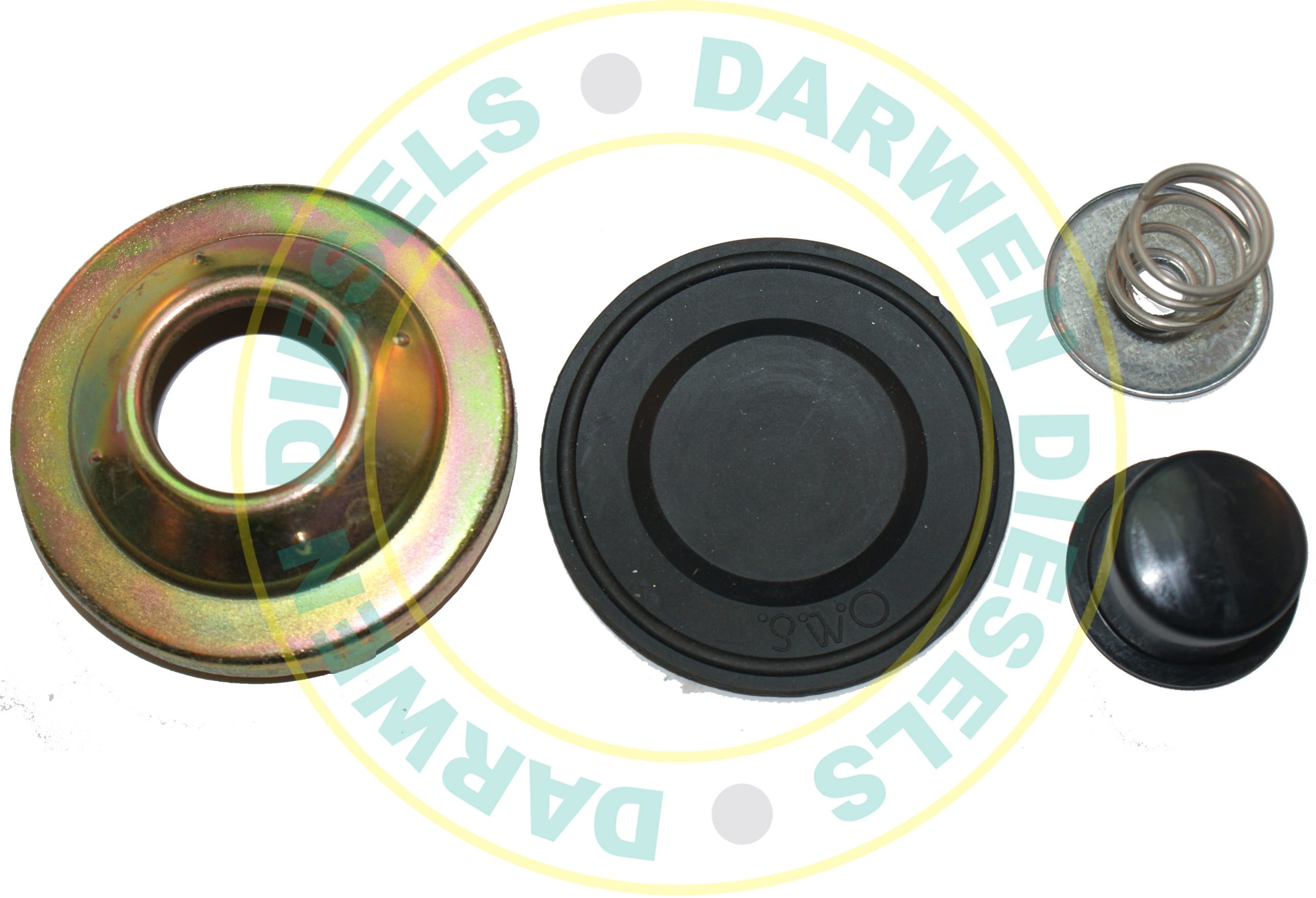 31D138L Purflux Filter Repair Kit & Button