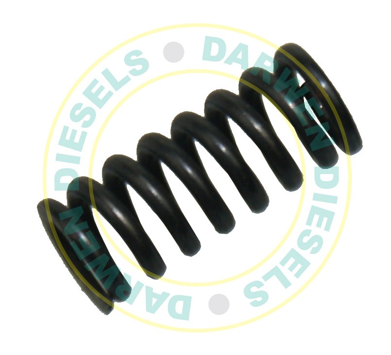 2414614002 Genuine Compression Spring
