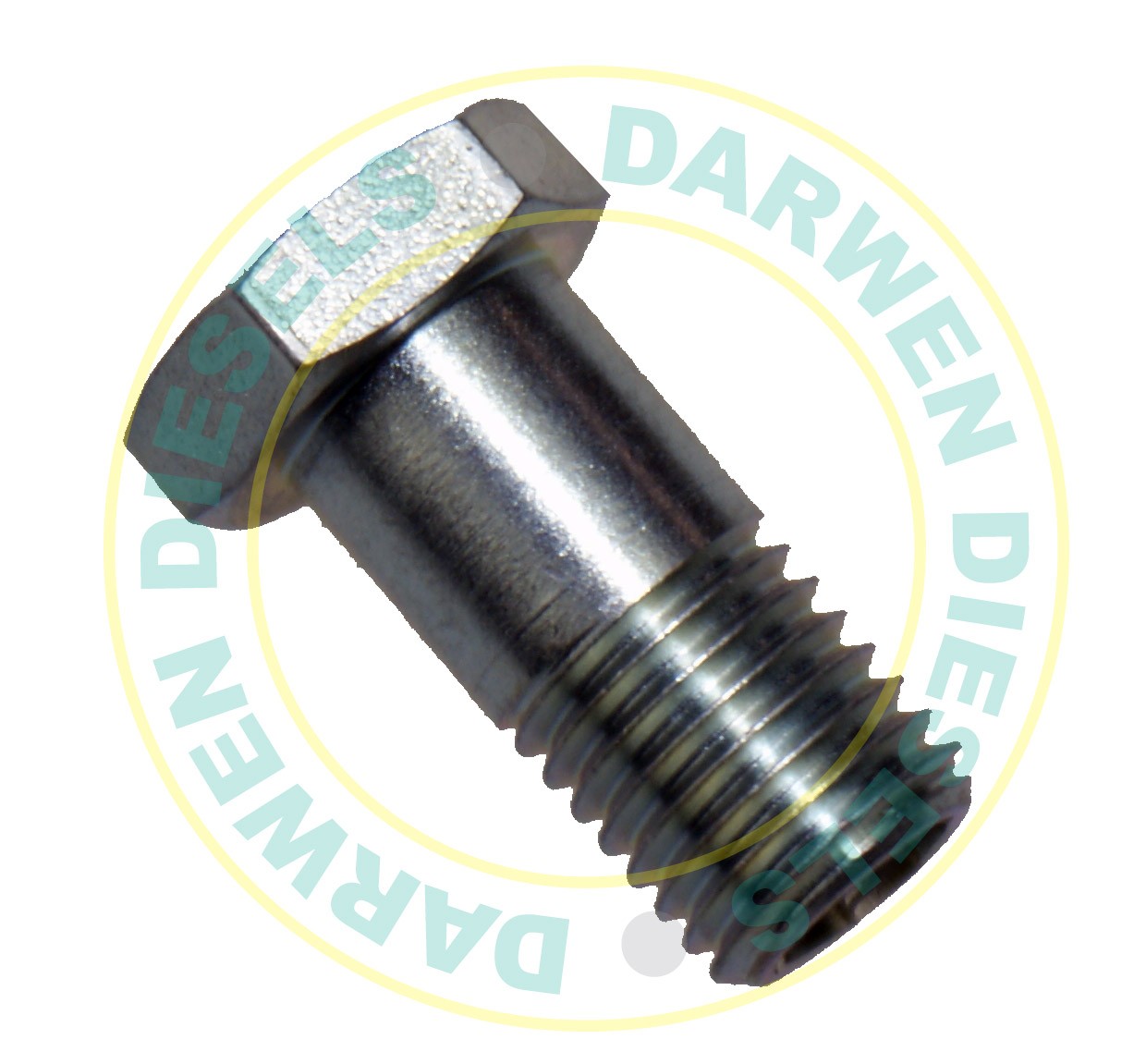 1463456303 Genuine Bolt .55mm