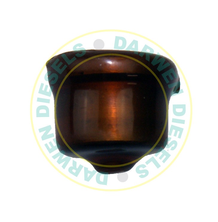 2418552027 Genuine Delivery Valve