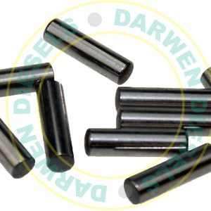 20082 Non Genuine Pin