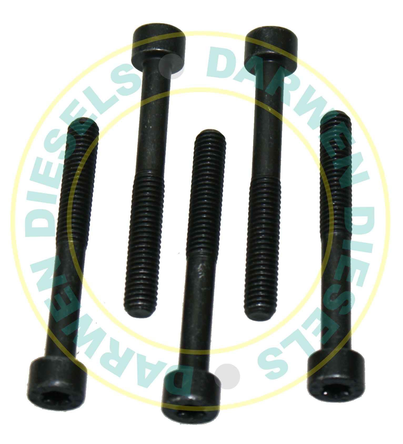 1463414305 Genuine Screwheaded Bolt