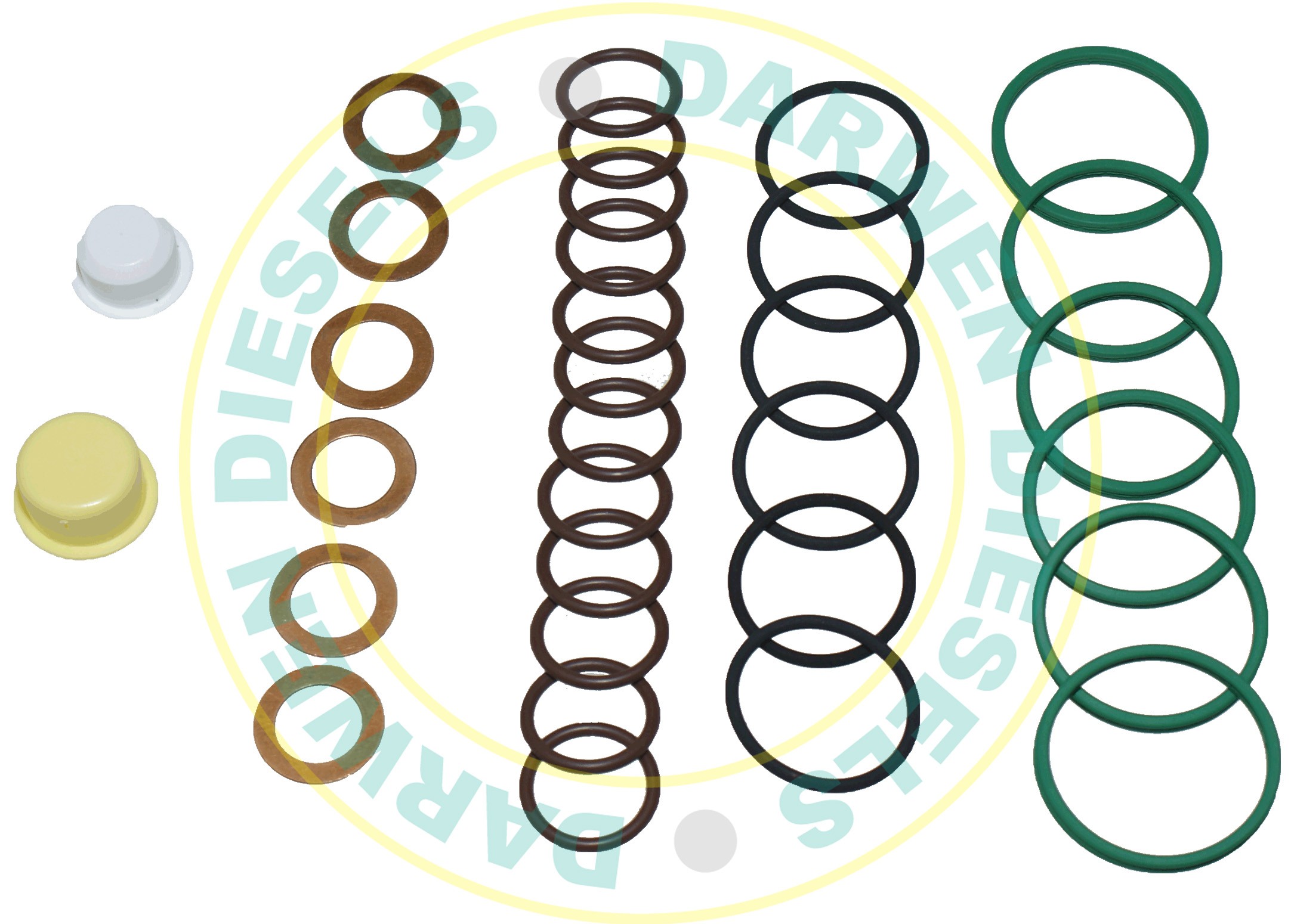 2417010018 Spaco PE6P Plunger Block Kit