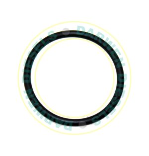 15D24 Pump Body Sealing Ring