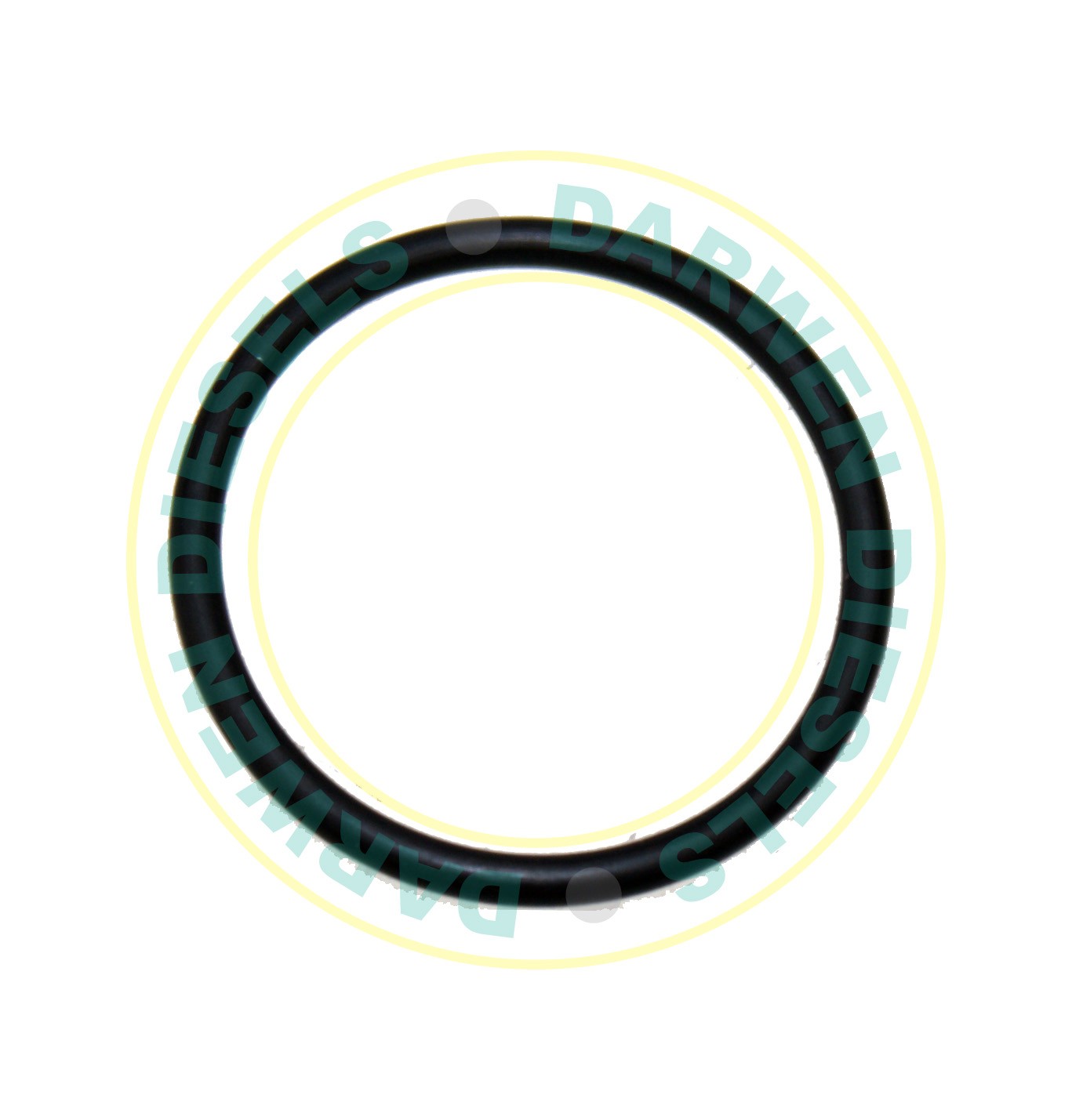 15D24 Pump Body Sealing Ring