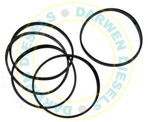 1420206001 Non Genuine Sealing Ring