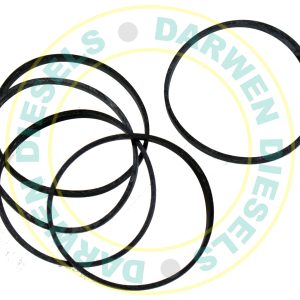 1420206001 Non Genuine Sealing Ring