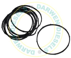 1460206303 Non Genuine Governor Cover Seal