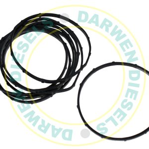 1460206303 Non Genuine Governor Cover Seal