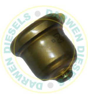 131110-5920 Genuine Delivery Valve 