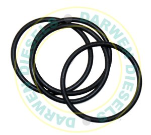 1410210002 Genuine O-Ring