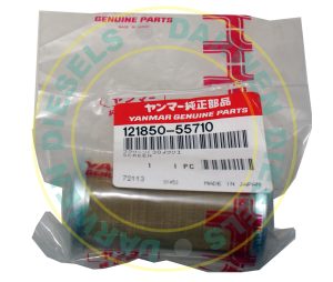 121850-55710 Non Genuine Screen Filter