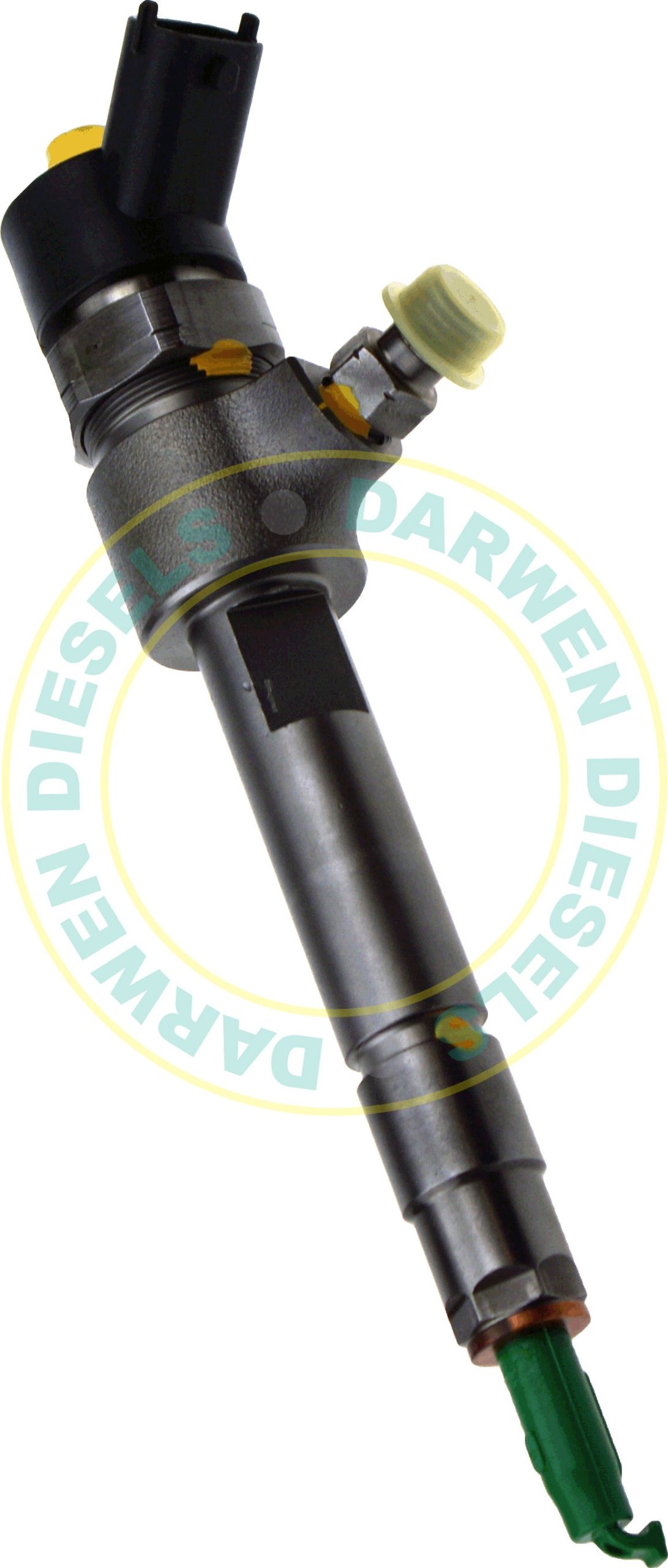 0445110119 Common Rail Bosch Injector