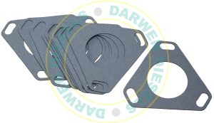 270-4E 50mm Slotted Gasket x 10