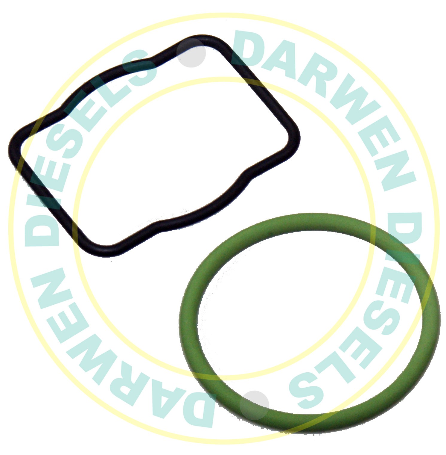 EUI9 Delphi EUI Seal Kit