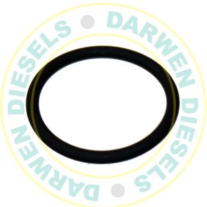 EUI24 Body O-Ring for EUI TD5 Injector