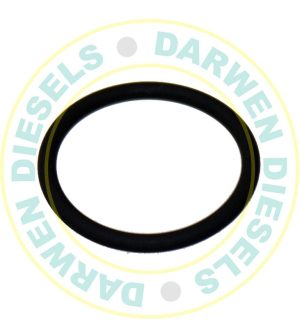 EUI24 Body O-Ring for EUI TD5 Injector