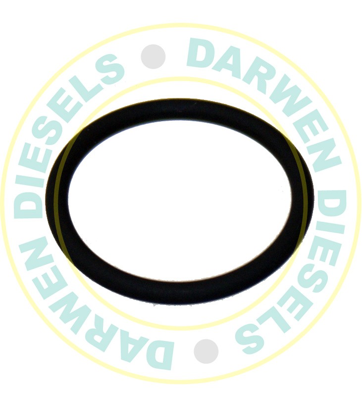 EUI24 Body O-Ring for EUI TD5 Injector