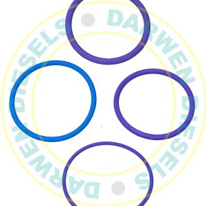 EUI101 Volvo EUI Seal Kit