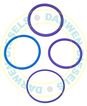 EUI101 Volvo EUI Seal Kit