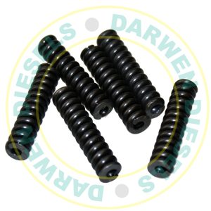 EUI111 Delphi A3 Nozzle Spring