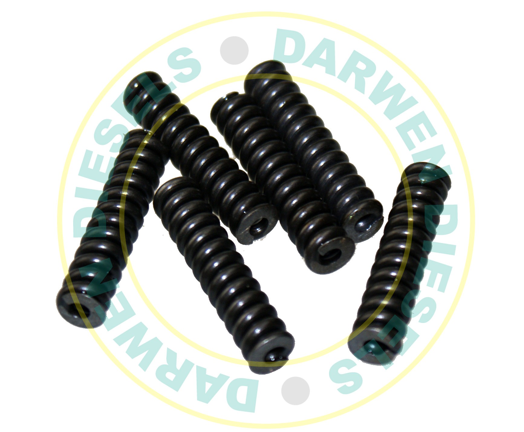 EUI111 Delphi A3 Nozzle Spring
