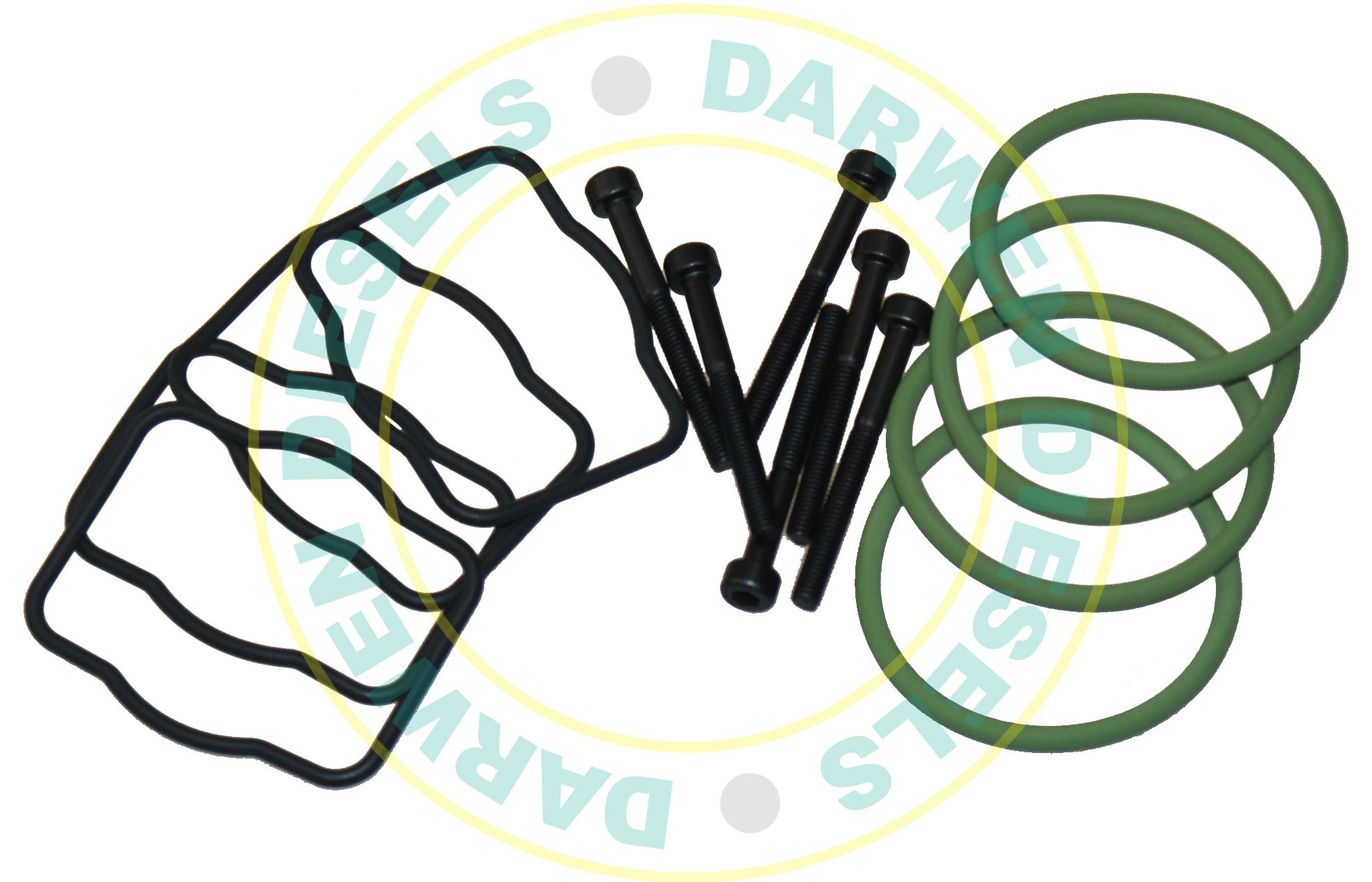 EUI18 Delphi EUI Repair Kit