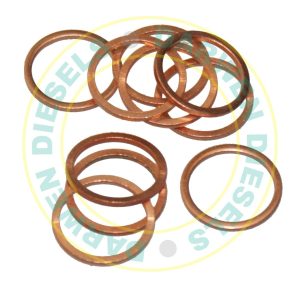 NW5-45 Washer (Rotodiesel)