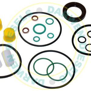 CMR5011 Common Rail Siemens Pump Reapir Kit 5WS40893