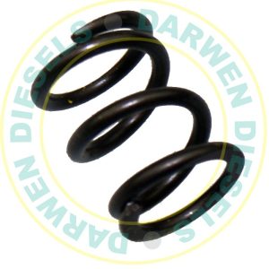 1424634026 Non Genuine Spring