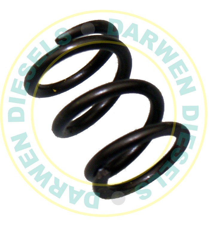 1424634026 Non Genuine Spring