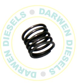1424611003 Genuine Compression Spring
