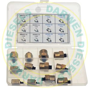 40D805-K Common Rail Fuel Rail Blanking Plug Kit