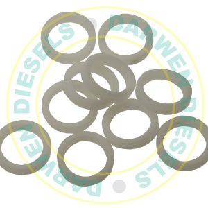 5936-22 Nylon Bryce Delivery Valve Washer