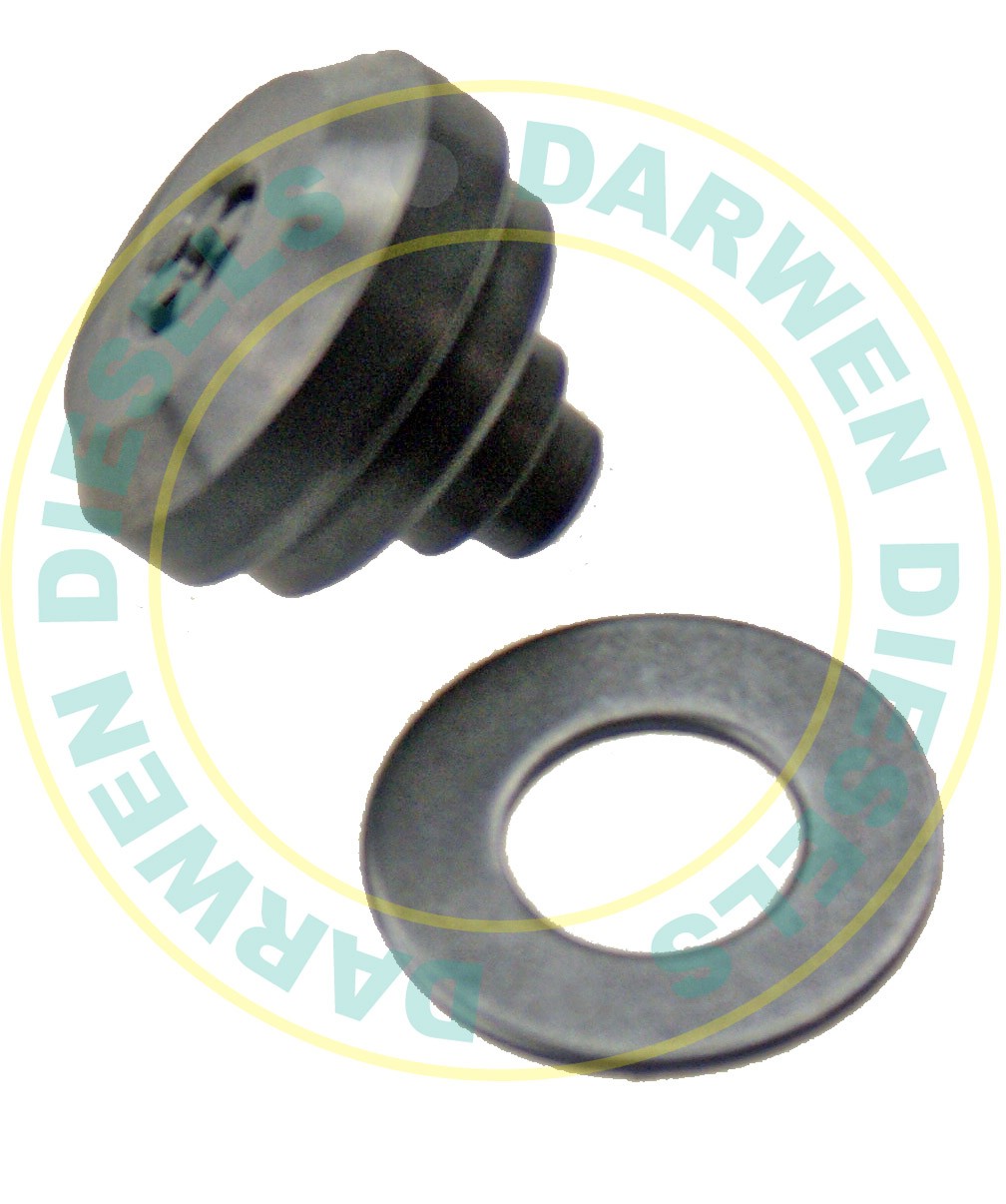 507500 Non Genunie Delivery Valve Assembly