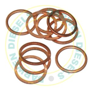 26D42 Bosch Hand Primer Washer