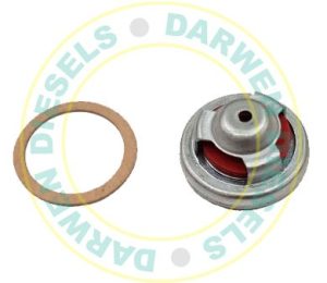 5593866 AC Delco Lift Pump Valve