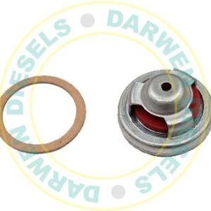 5593866 AC Delco Lift Pump Valve