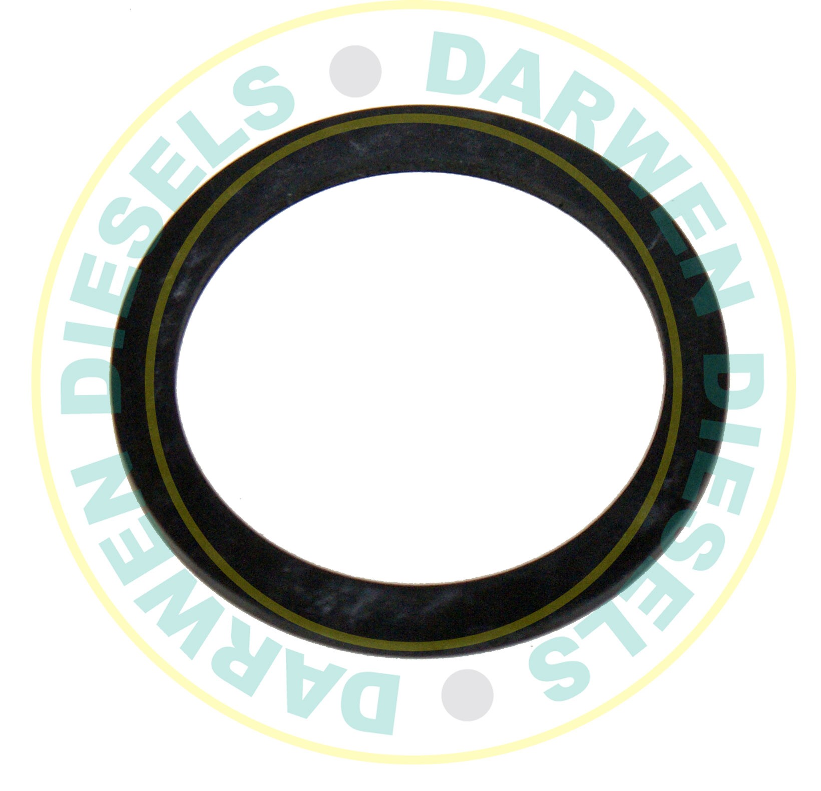 26D46 Lift Pump Flange Seal Ring