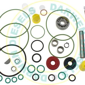 CMR700 Common Rail Cat/Perkins Pump Repair Kit