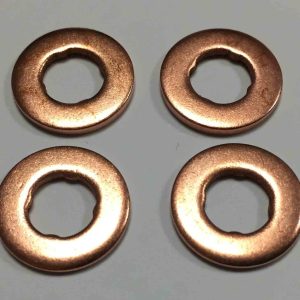 27D145 Common Rail Washer Iveco/Vectra/BMW Bosch x 4