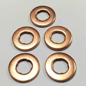 27D145 Common Rail Washer Iveco/Vectra/BMW Bosch x 5