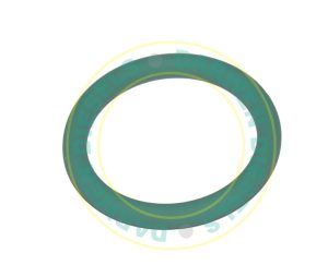 17D101 CAT/Isuzu HEUI Injector O-Ring
