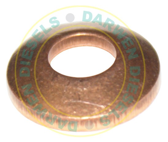 27D184 Common Rail Washer Iveco Dished