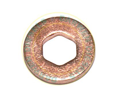 27D183 Common Rail Washer PSA