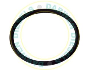 7190-065JY Delphi O-Ring DFP6.1